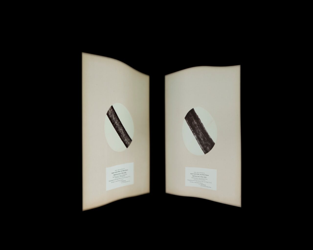 Manifest thirteen colonies a project by photographer wendel white 